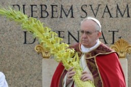 papafrancesco